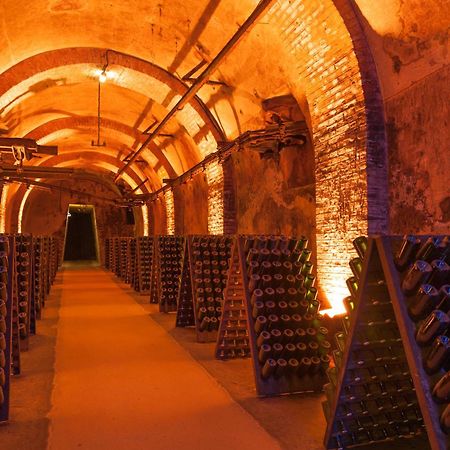 Champagne Central - Exceptionnel 3 Chambres Reims Eksteriør billede